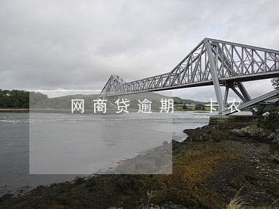 网商贷逾期 卡农 网商贷逾期 卡农